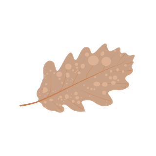 delicateautumn-leaf-illustration-perfect-for-nature-inspired-projects-373671