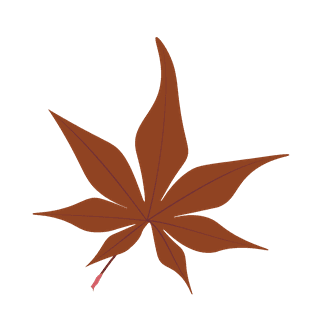 delicateautumn-leaf-illustration-perfect-for-nature-inspired-projects-368100