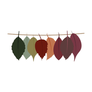 delicateautumn-leaf-illustration-perfect-for-nature-inspired-projects-379803