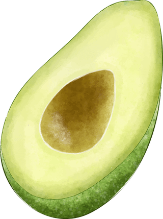 avocadodifferent-angles-avocado-fruit-739442