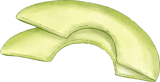 avocadodifferent-angles-avocado-fruit-340731