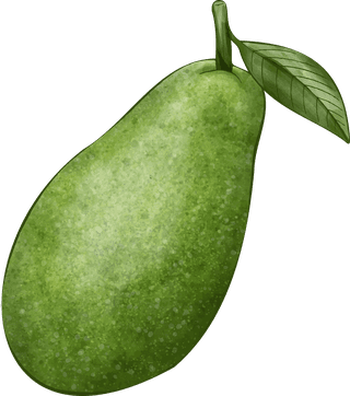 avocadodifferent-angles-avocado-fruit-403232