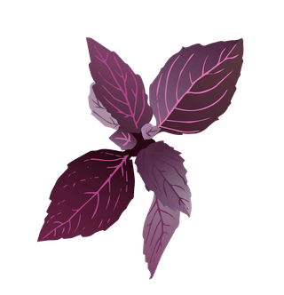 bailik-spices-meadow-flowers-herbal-set-733197