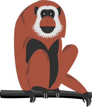 baboonswild-animals-icons-primate-sketch-colored-cartoon-sketch-163511