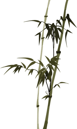 bambooplants-bontanical-vector-cover-816127