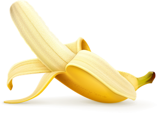 bananajuice-and-splash-vector-488646