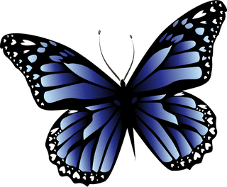 beautifulbutterfly-butterfly-clip-art-vector-set-424908