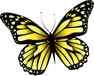 beautifulbutterfly-butterfly-clip-art-vector-set-266646