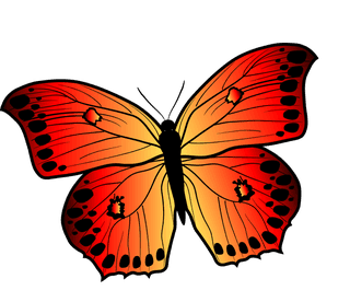 beautifulbutterfly-butterfly-clip-art-vector-set-648463