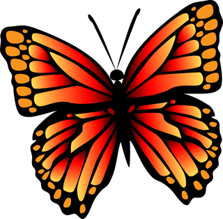 beautifulbutterfly-butterfly-clip-art-vector-set-861728