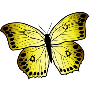 beautifulbutterfly-butterfly-clip-art-vector-set-10762
