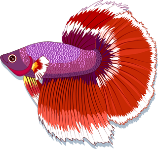 beautifulfish-fishes-background-colorful-icons-decor-148660