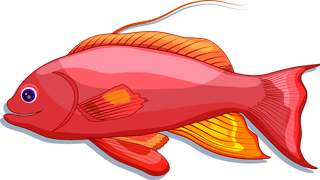 beautifulfish-fishes-background-colorful-icons-decor-161893