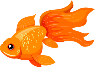 beautifulornamental-fish-ornamental-fish-icons-colorful-species-design-554456