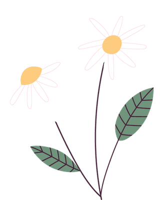 beautifulspring-flower-illustration-958405