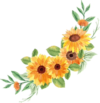 beautifulsummer-bouquet-flowers-33591