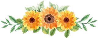 beautifulsummer-bouquet-flowers-436203