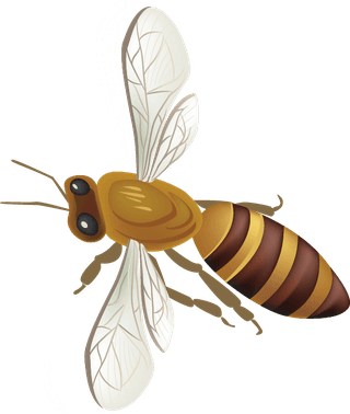 beehoney-bee-vector-design-elements-373150