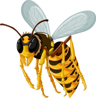 beeset-insect-character-833318