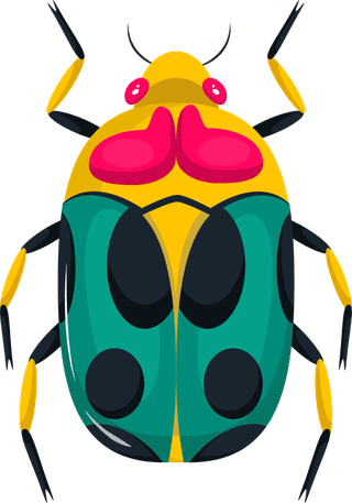 beetlesbugs-insects-icons-colorful-symmetric-design-693783