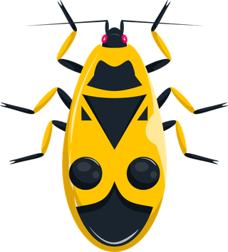 beetlesbugs-insects-icons-colorful-symmetric-design-278468