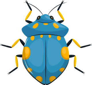 beetlesbugs-insects-icons-colorful-symmetric-design-39696