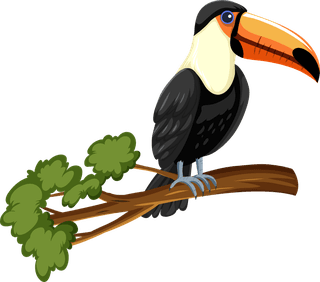 bigbilled-bird-set-of-different-wild-animals-cartoon-characters-733181