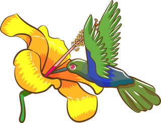 birdcolorful-beautiful-set-of-colorful-hummingbird-cartoons-isolated-on-white-background-221983