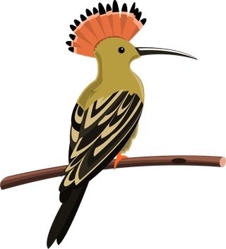 birdexotic-birds-set-107532