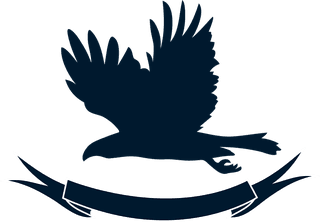 birdlogo-set-of-eagles-silhouettes-321828