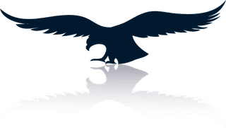 birdlogo-set-of-eagles-silhouettes-763316