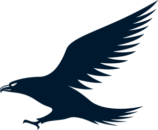birdlogo-set-of-eagles-silhouettes-397310