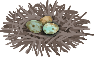 birdnests-and-eggs-birds-nest-set-with-editable-text-realistic-images-birds-with-wild-70249