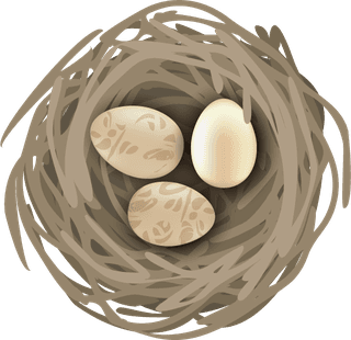 birdnests-and-eggs-birds-nest-set-with-editable-text-realistic-images-birds-with-wild-108284