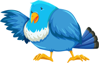 birdset-diffrent-birds-cartoon-style-isolated-white-background-117179