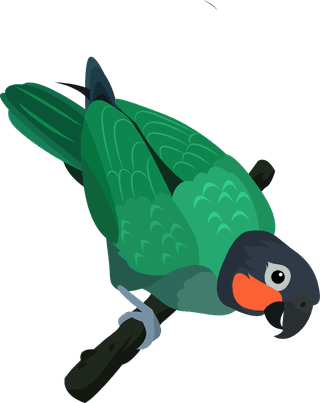 birdwild-birds-species-icons-parrot-crane-woodpecker-sketch-93691