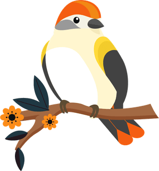 birdsbirds-species-icons-collection-classical-multicolored-perching-sketch-813404
