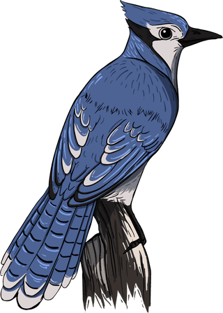 birdsbirds-species-icons-collection-classical-multicolored-perching-sketch-596533