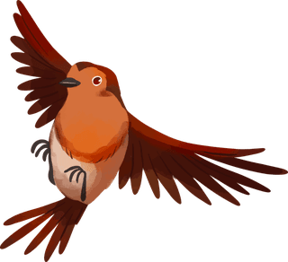 birdswatercolor-robin-pack-986246