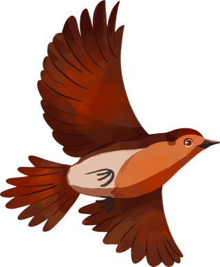 birdswatercolor-robin-pack-40316