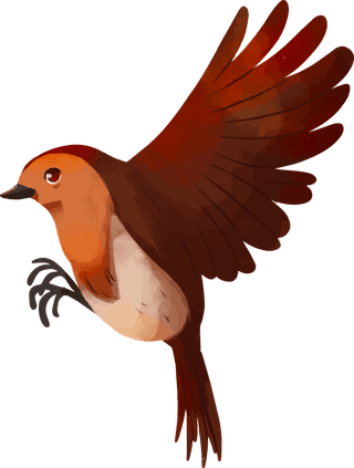 birdswatercolor-robin-pack-938888