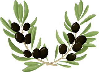 blackolives-cartoon-olive-oil-elements-set-438041