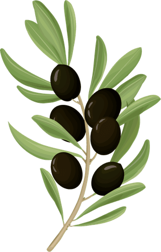 blackolives-cartoon-olive-oil-elements-set-564792