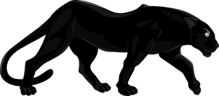 blackpanther-feline-species-icons-tiger-lion-leopard-panther-sketch-747017