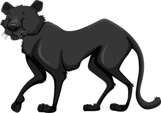 blackpanther-wild-animals-549290