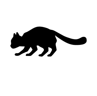 blackwalking-cat-silhouettes-241557