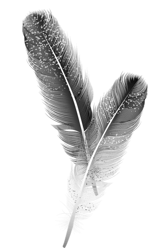detailedcolorful-realistic-feather-of-different-birds-854826