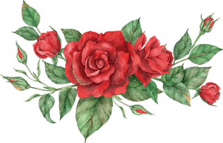bloomingred-rose-flower-set-418046