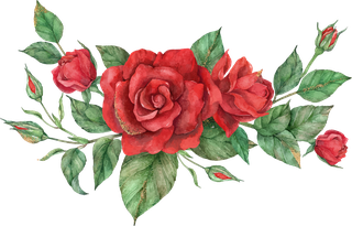 bloomingred-rose-flower-set-418046