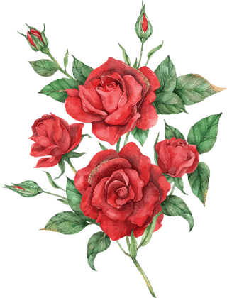 bloomingred-rose-flower-set-151525